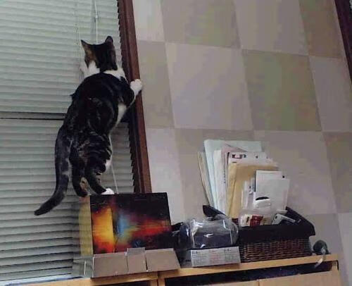 九游下载官网-【自动判罚的未来】科技怎样帮助裁判做出更准确的决定？，自动制裁是什么意思