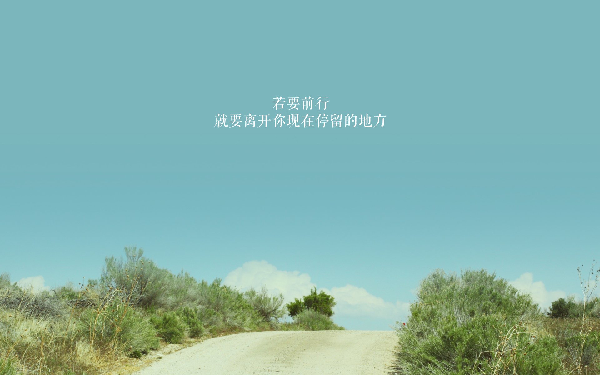 水上跃动—水上瑜伽引领健康新风潮,水上运动