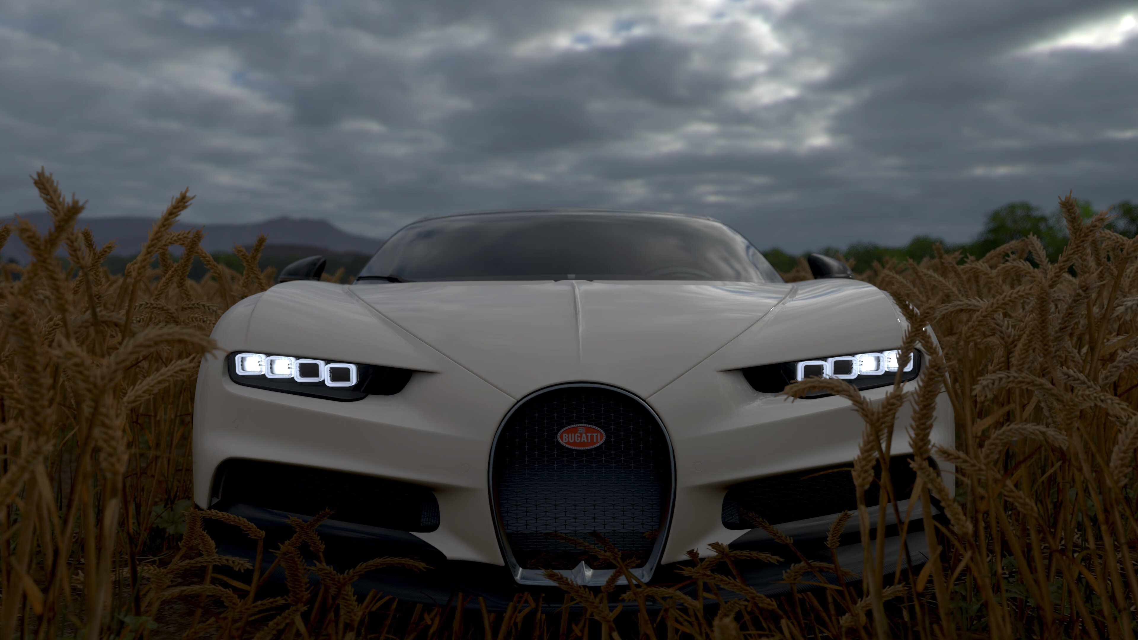 女足世界杯赛场设施升级，女足世界杯参赛队