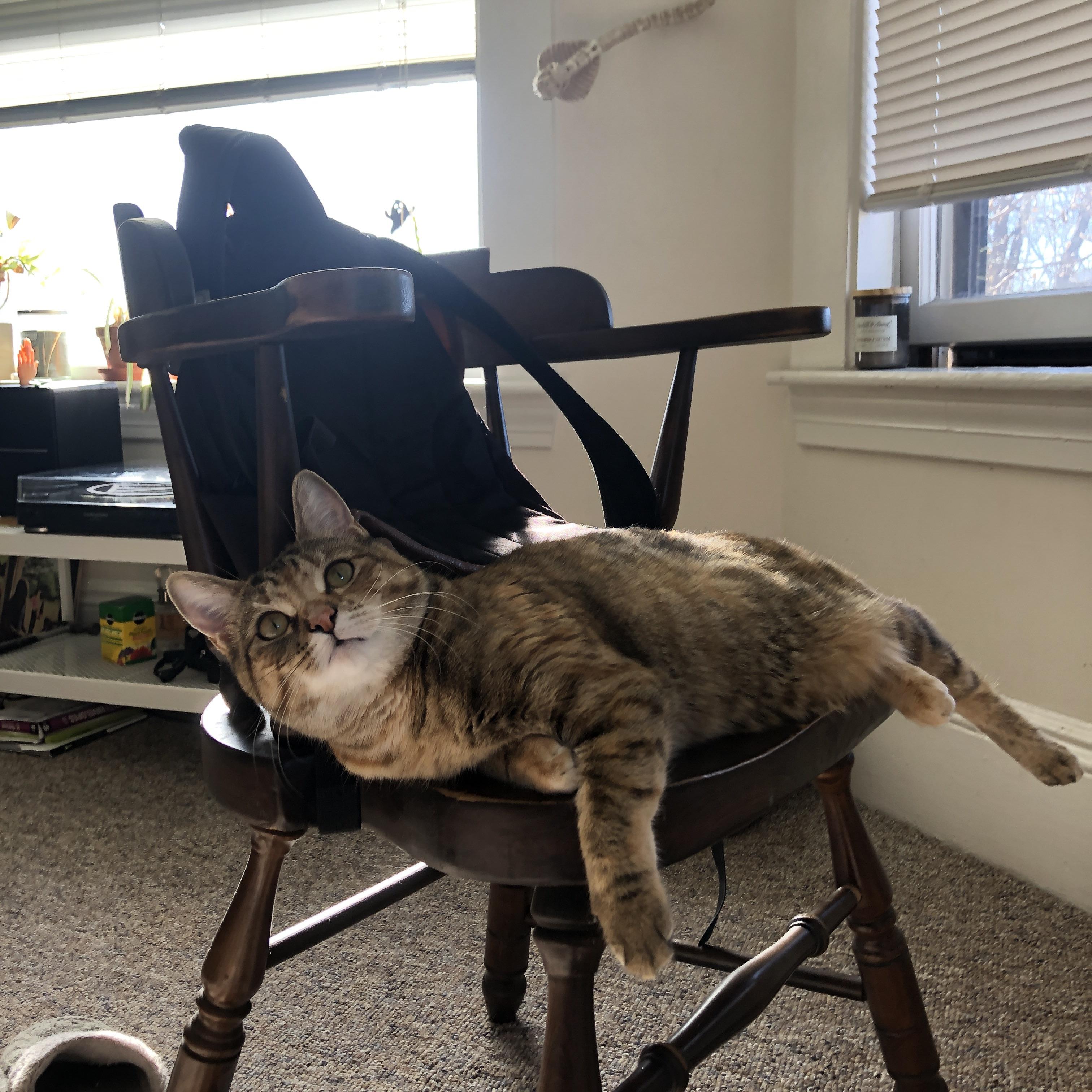 JIUYOU GAMING-法甲球队备战全力，冠军希望渺茫，法甲球队介绍