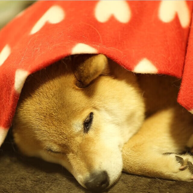 皇马-险胜马赛,欧冠晋级形势坚挺,皇马欧冠赛程2020赛程表