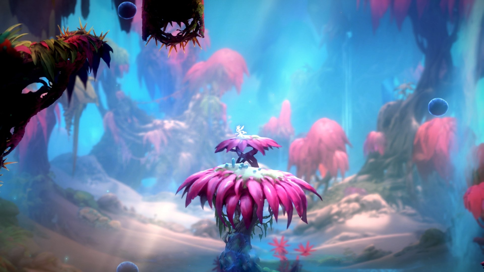 白俄罗斯队在欧洲比赛中取胜,引发热议,白俄罗斯杯