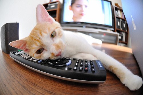 意甲裁判行为在多语境交流中的判罚偏差统计研究,意甲 裁判