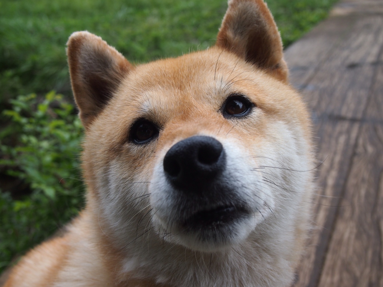 篮球专项体能训练中的恢复技术创新及应用，篮球恢复性训练教案