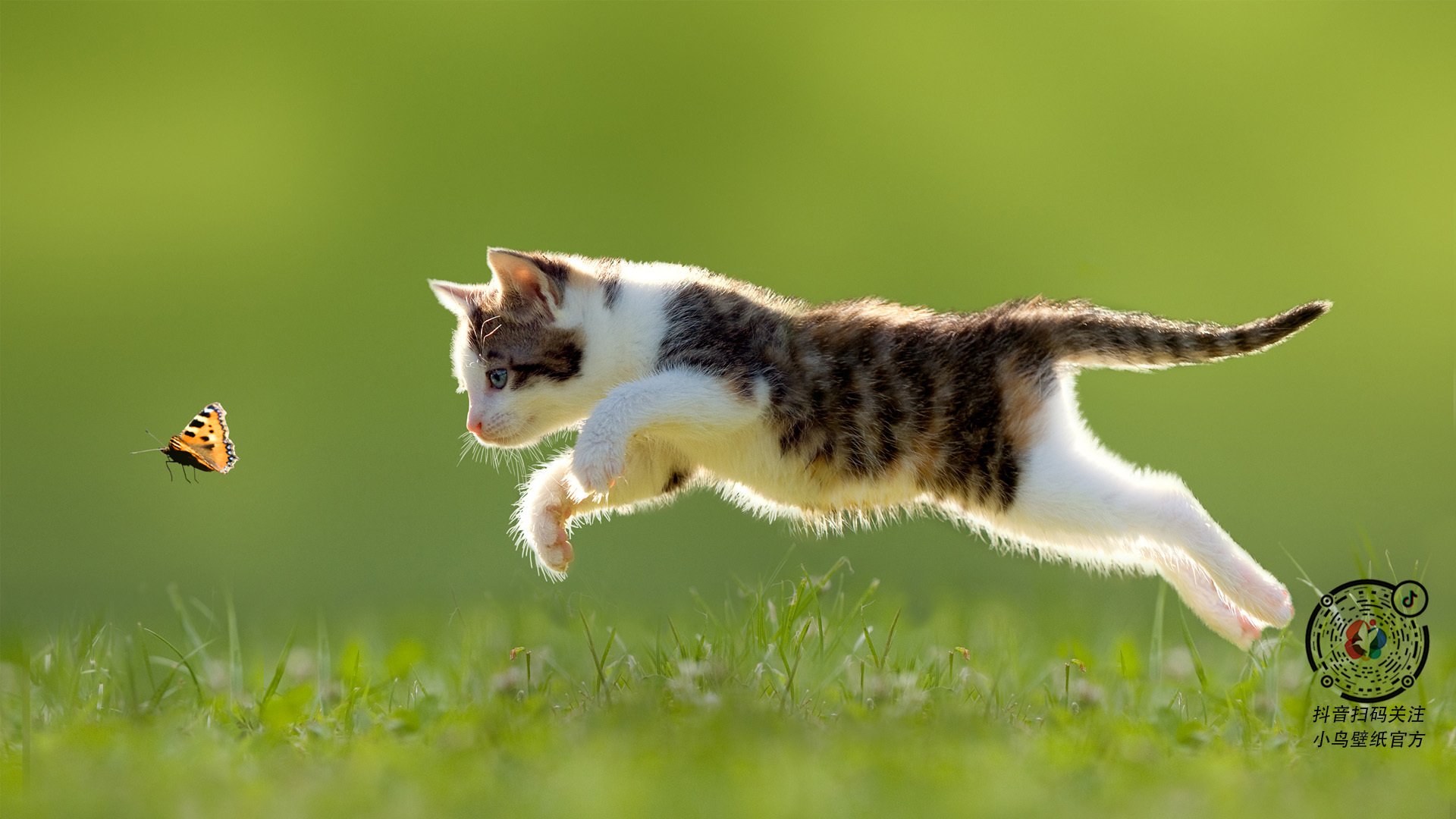 九游官网pc-“短柄墙球：高新区全民健身馆上演反转剧，战术和快速反应成比赛关键”