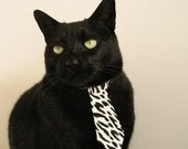 马拉松赛事突破报名人数新高,2021马拉松多少人