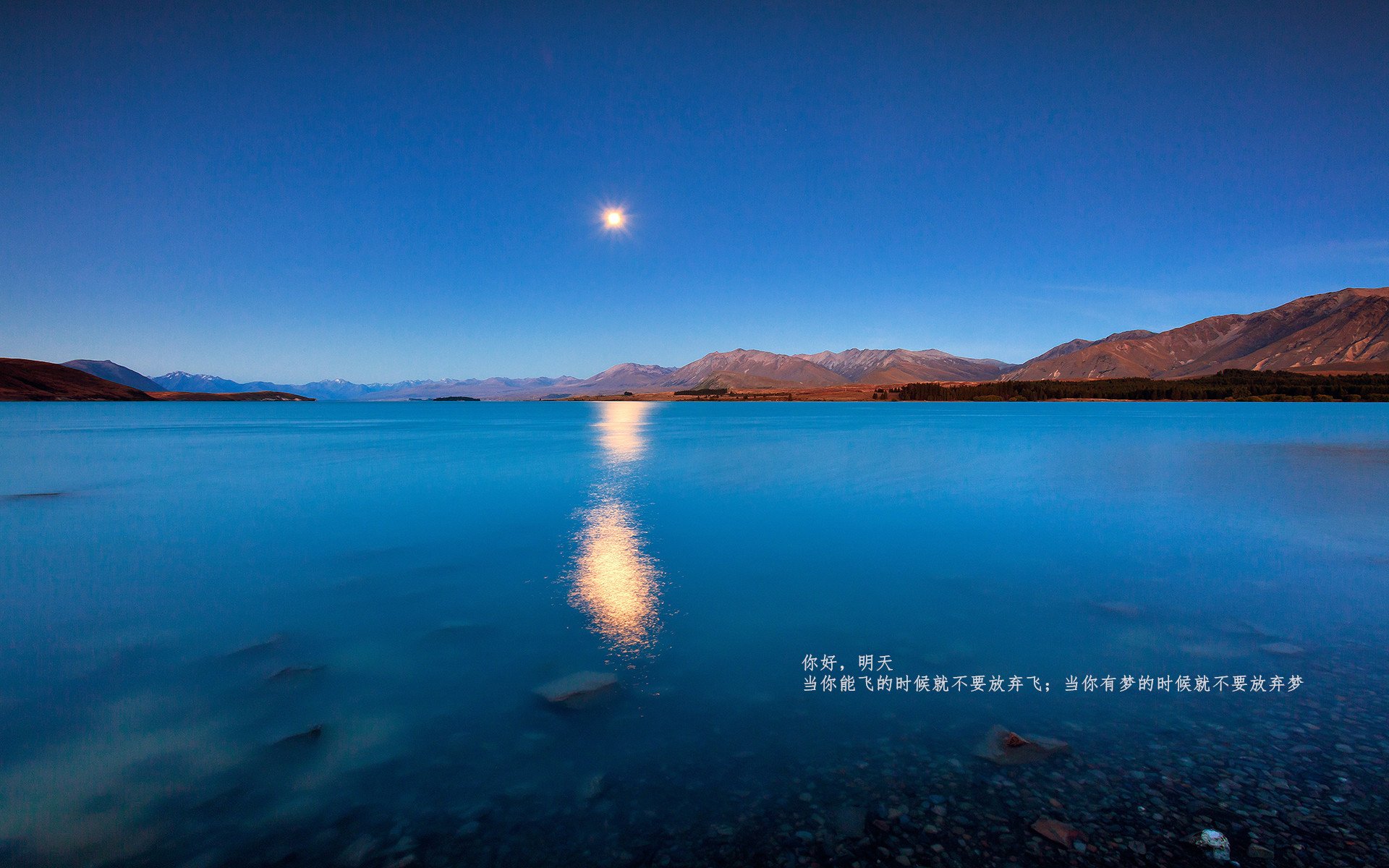 九游网-“安赫尔·巴尔博萨的全面能力与比赛经验，推动美洲狮队成为世界级强队”