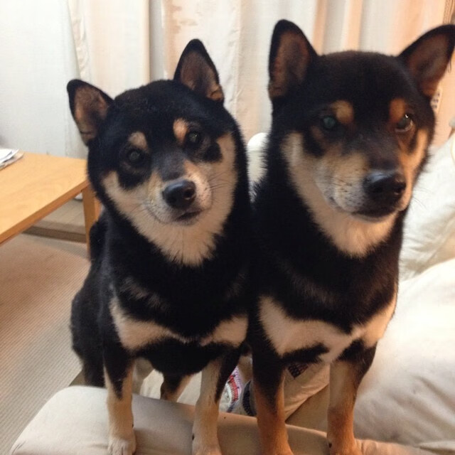 九游(jiuyou)官方网站-世界杯激情岁月：精彩片段，永世铭记！，最激情的世界杯歌曲是哪首