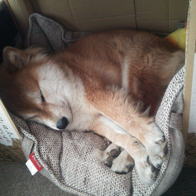 克莱尔在200米自由泳中展现节奏感,克莱尔跳高