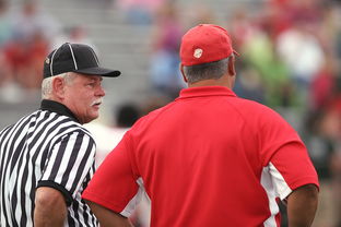 九游体育官网-意甲裁判语义分析辅助判罚准确性的应用探讨，意甲 裁判